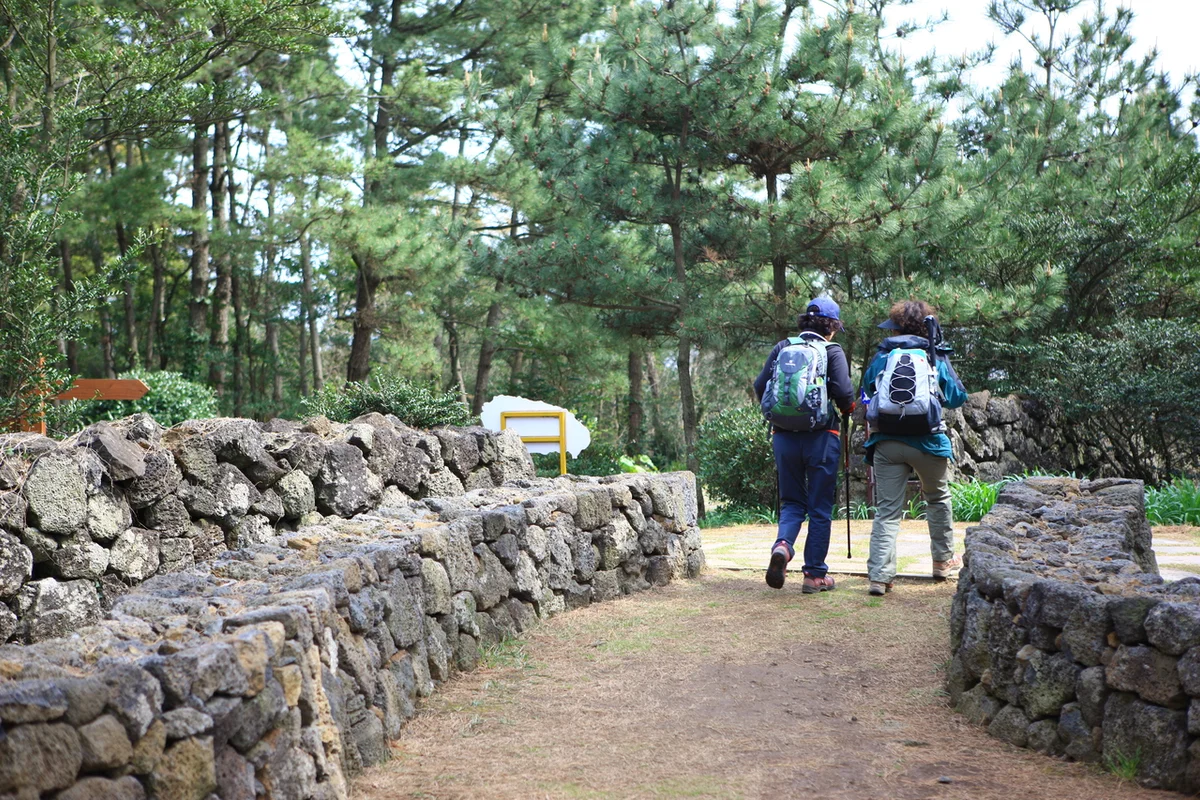 아르떼뮤지엄 제주 - 제주여행 여행