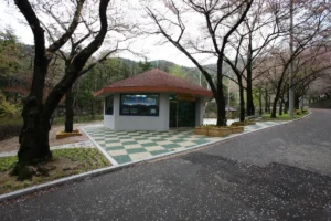 앞산 후기 (출처 : 한국관광공사)