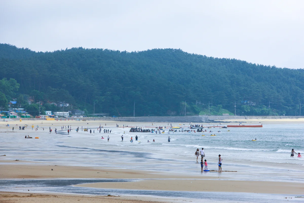 유류피해극복기념관 - 만리포드라이브 여행