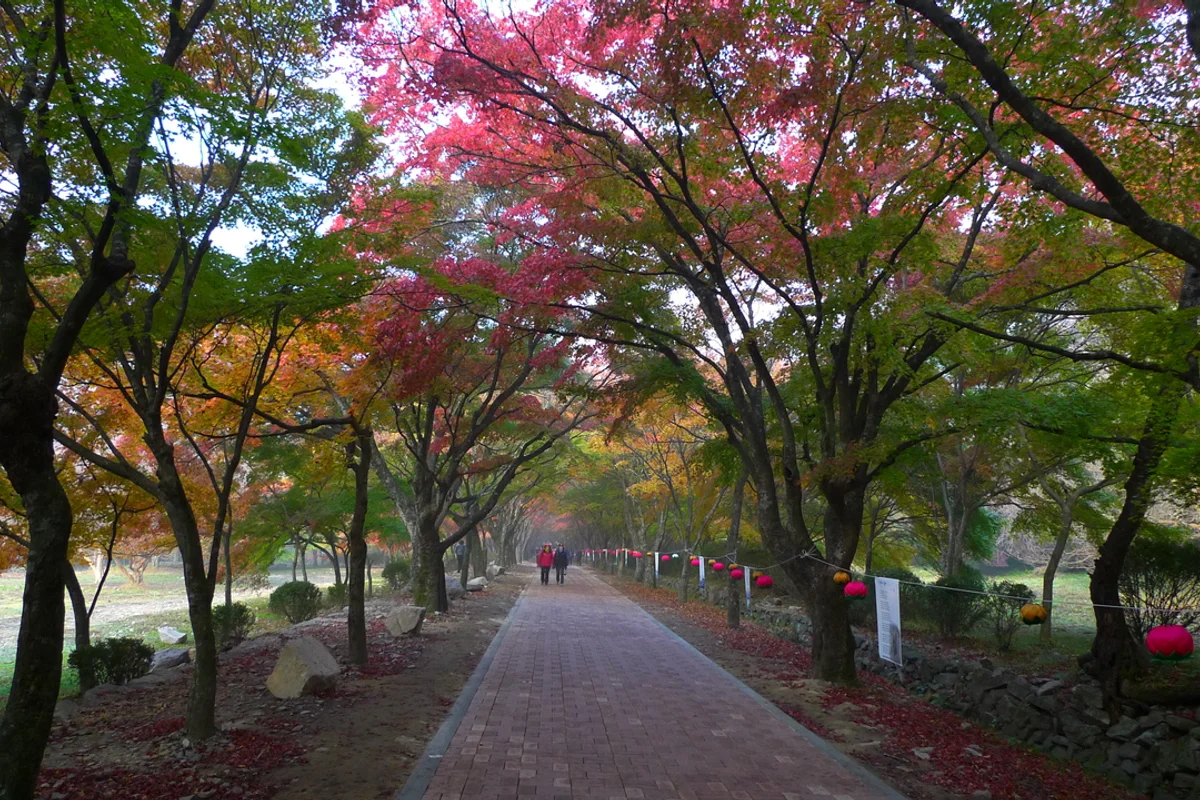 내장사 - 내장산 템플스테이 여행