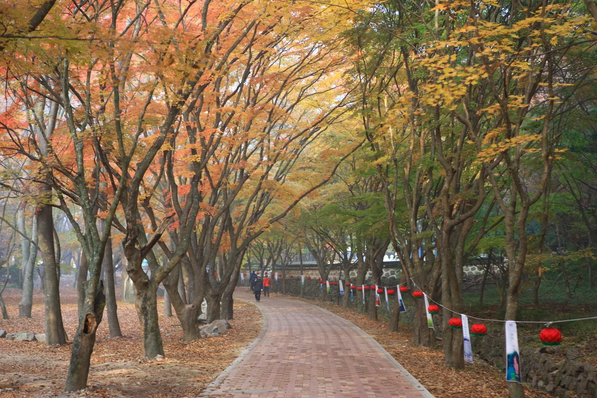 내장사 - 정읍여행 여행