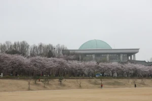 여의도 자전거길 (출처 : 한국관광공사)