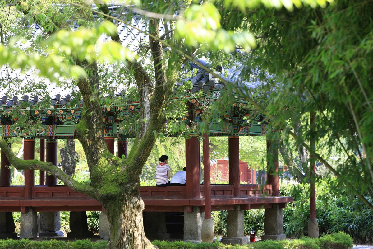 서천둔치 - 영주 벚꽃 여행
