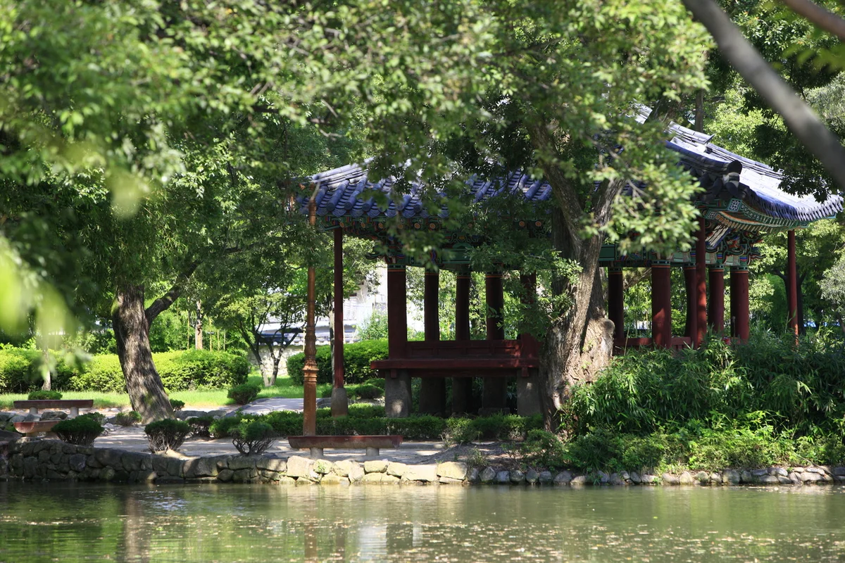 경북전문대학교 포토존 - 영주 벚꽃 여행