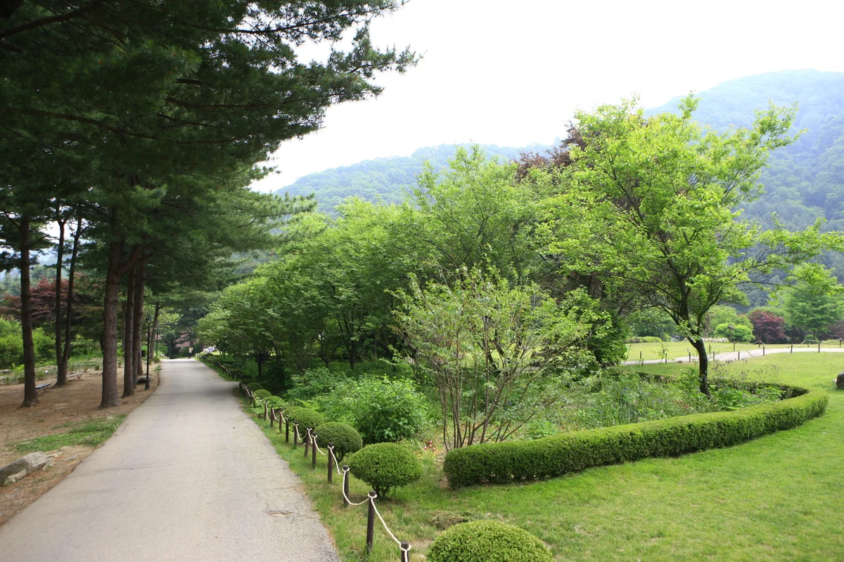 아침고요수목원 빛축제 오색별빛정원전 - 아침고요수목원 여행