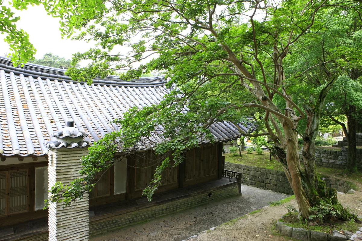 강릉선교장민속자료전시관 - 선교장 여행