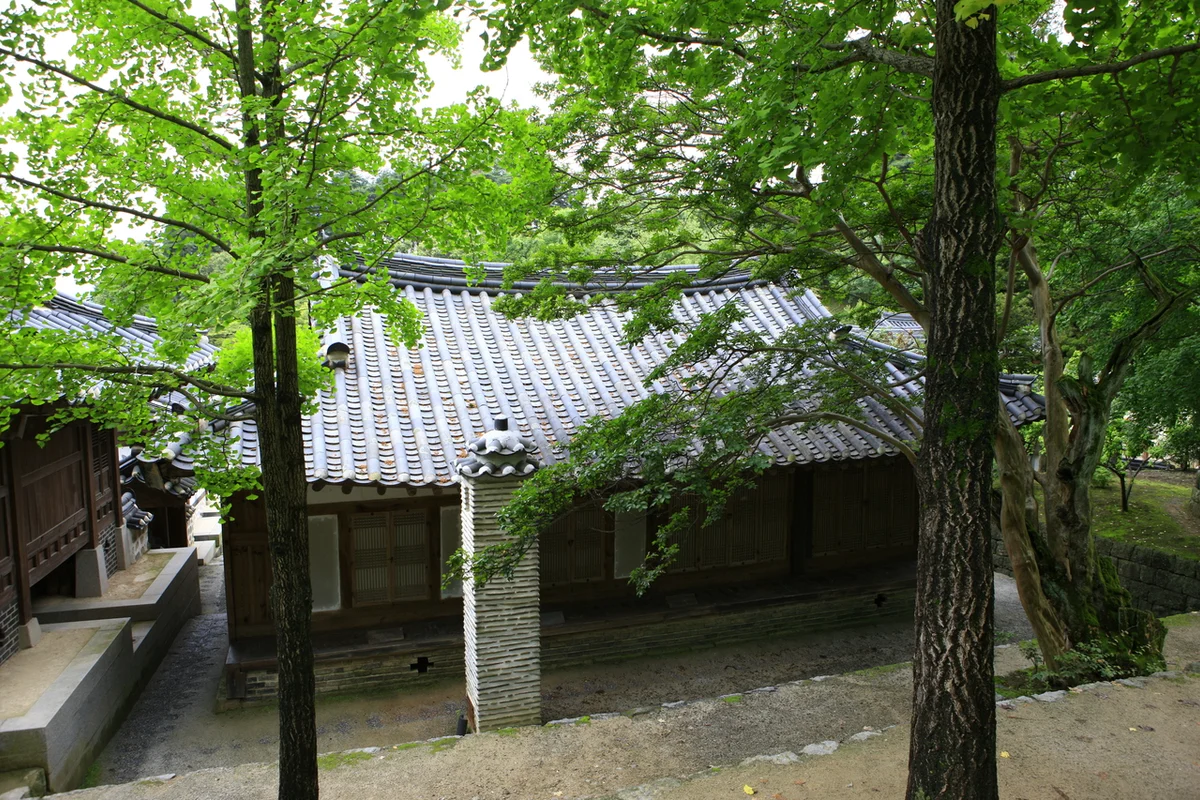 무네막국수 - 선교장 여행