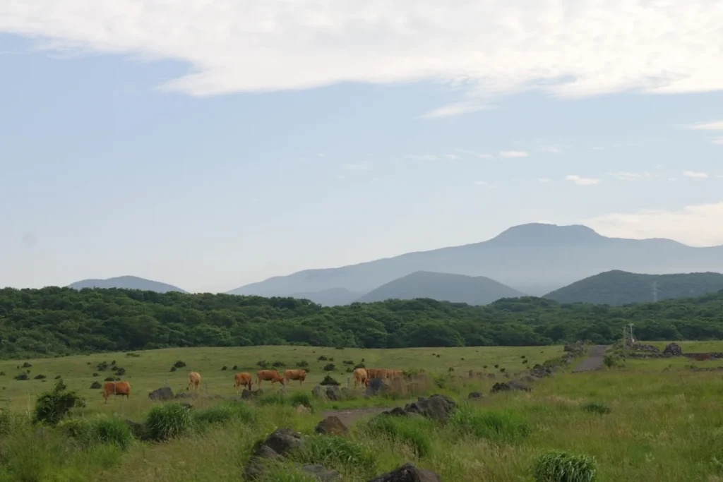 제주돌문화공원 코스 (출처 : 한국관광공사)