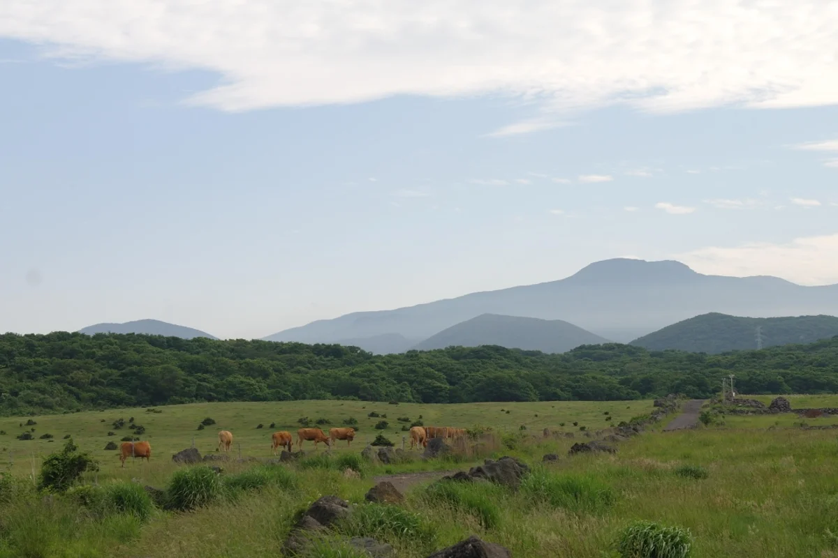 제주돌문화공원 - 조천 미술관 여행