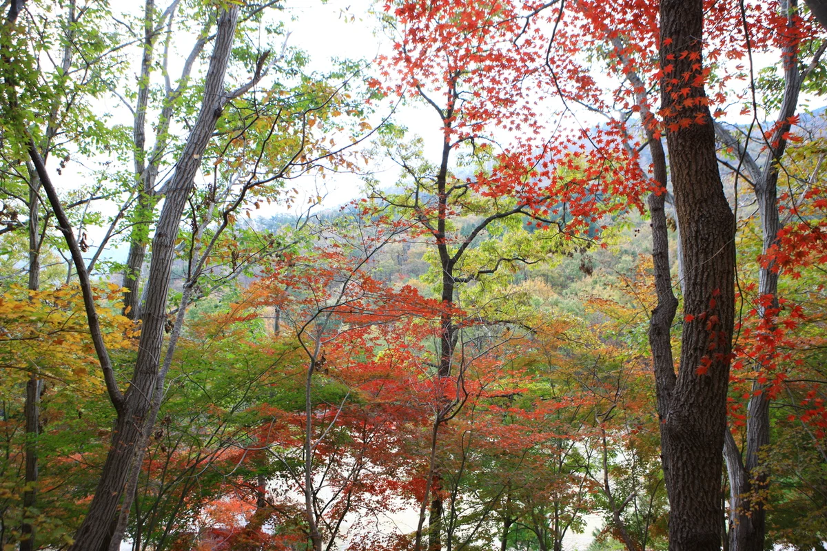 제암산자연휴양림 - 보성 가족여행 여행
