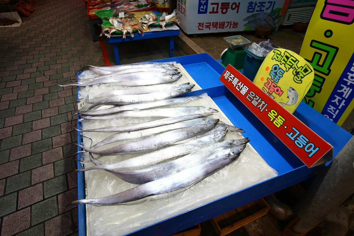 중앙로상점가 - 동문시장 여행