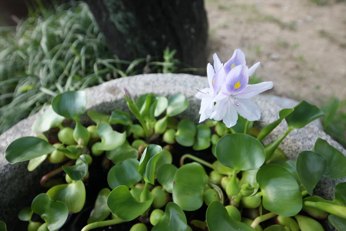 영덕 민박 (출처 : 한국관광공사)