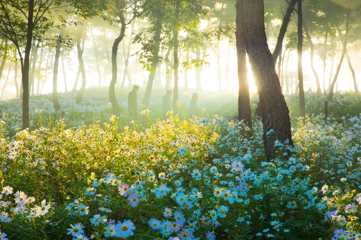 상두산자연휴양림 - 정읍 여행