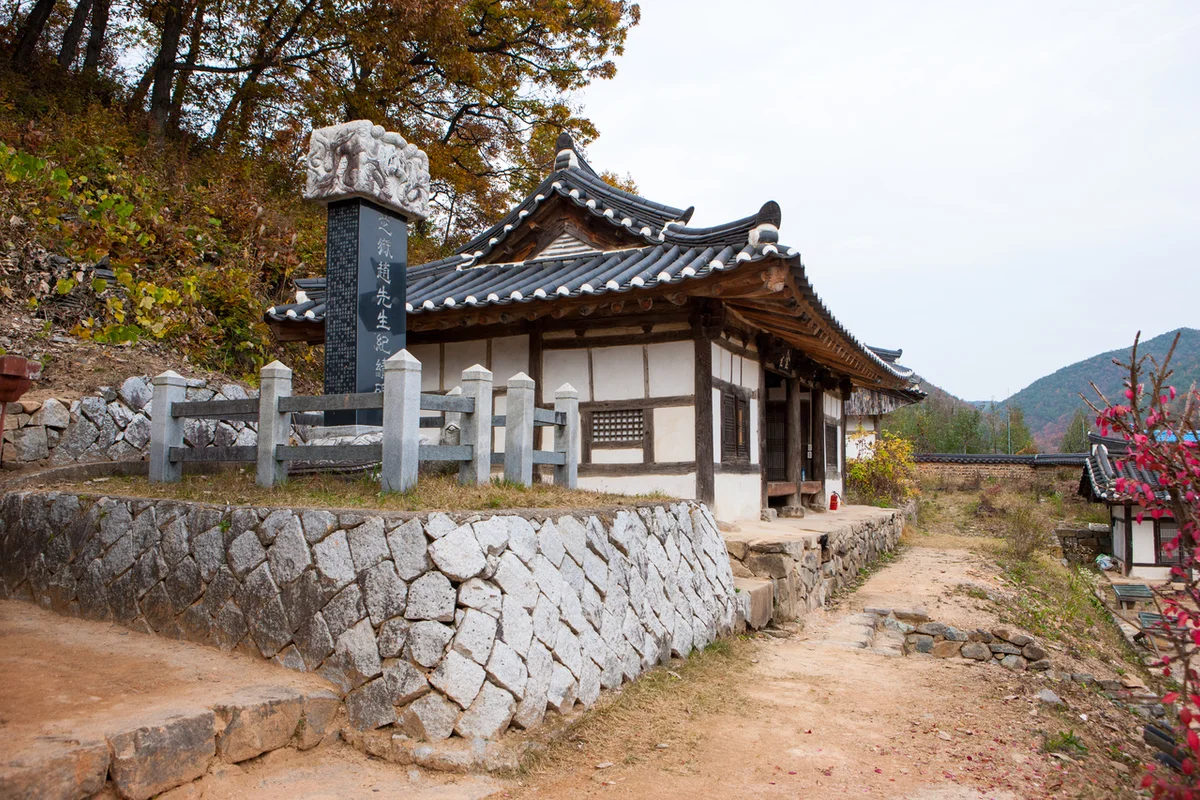 대정 벚꽃길 - 대정벚꽃 여행