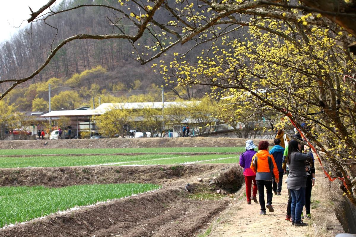 은행공원 - 성남여행 여행