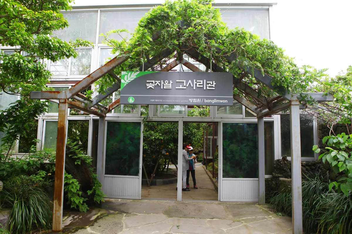 곶자왈 주차 (출처 : 한국관광공사)