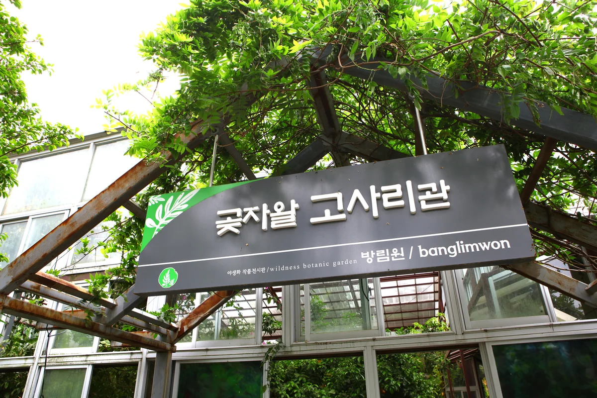 제주곶자왈도립공원 - 제주여행 여행