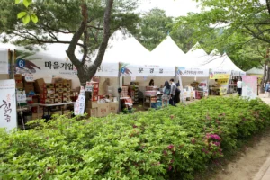 리장 고성 (출처 : 한국관광공사)