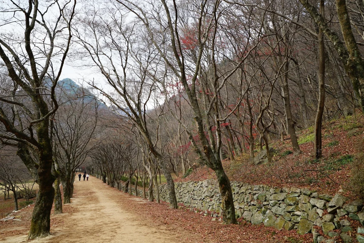 천사히어로즈 - 정읍 여행