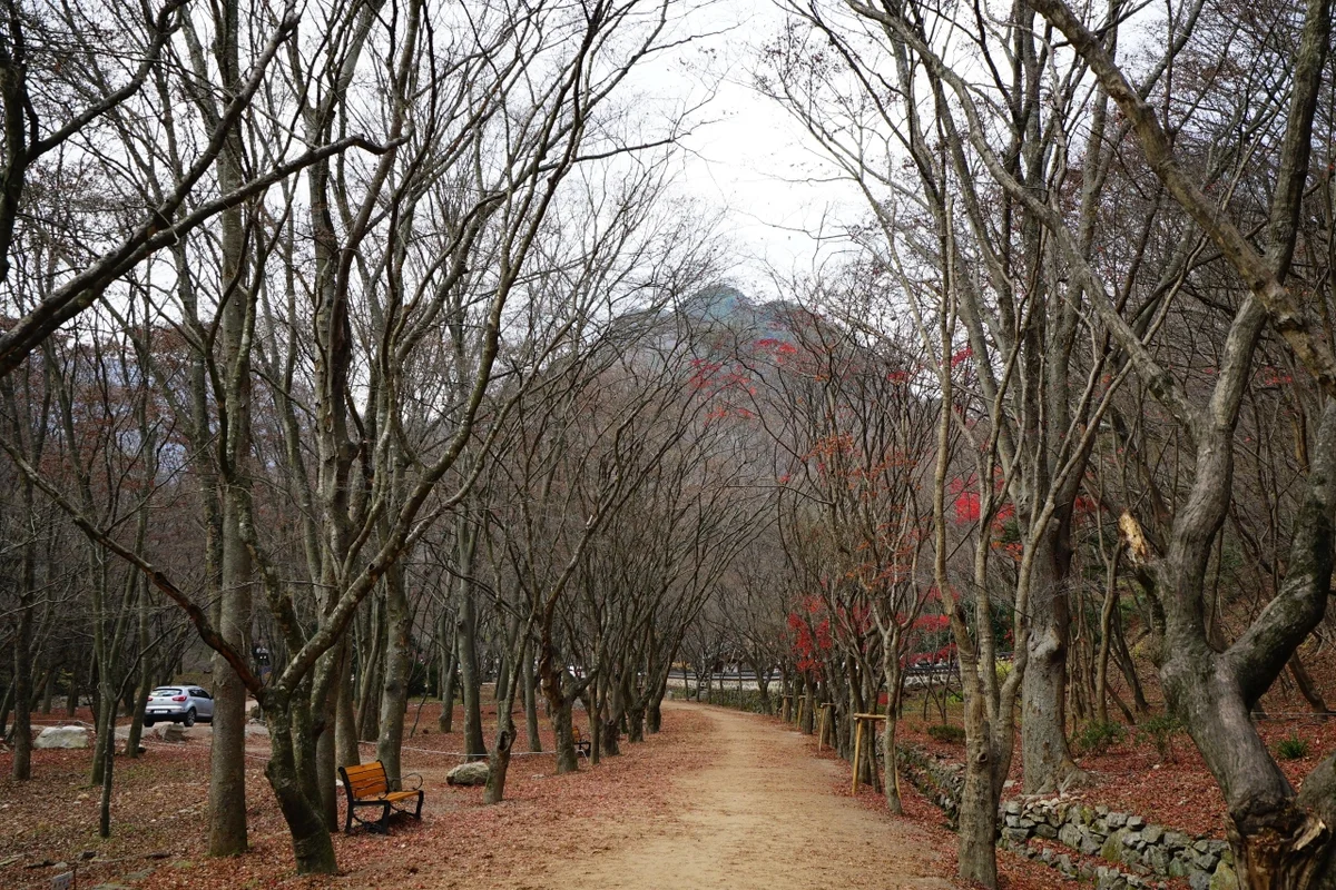 내장산단풍생태공원 - 내장산 템플스테이 여행