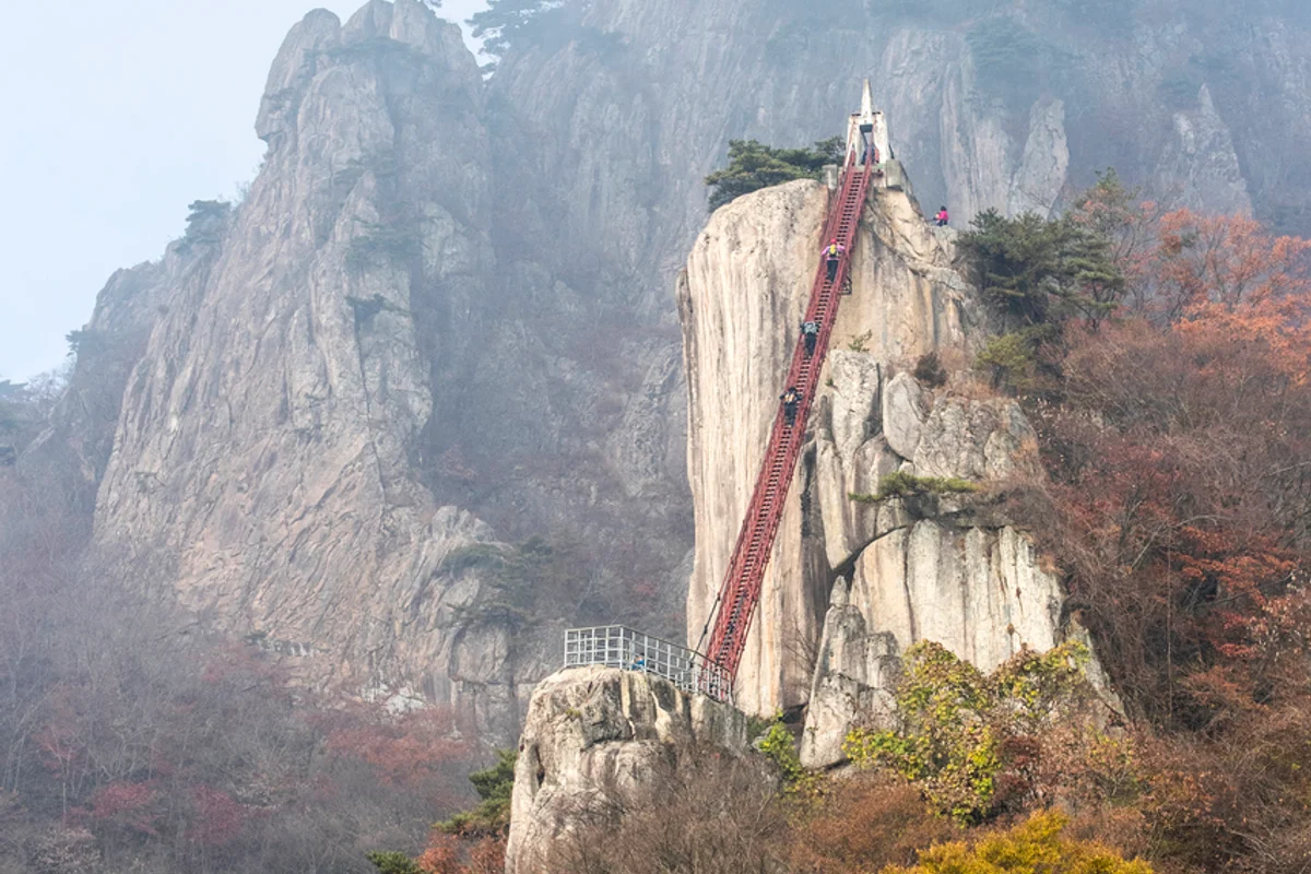 한밭수목원 열대식물원 - 둔산 여행