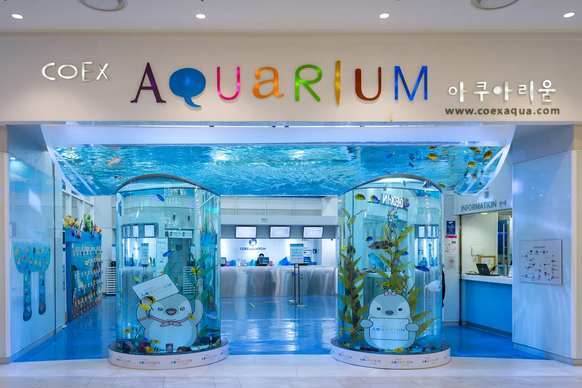 코엑스 아쿠아리움 - 신정동 여행