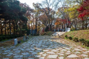 양림동 박물관 (출처 : 한국관광공사)