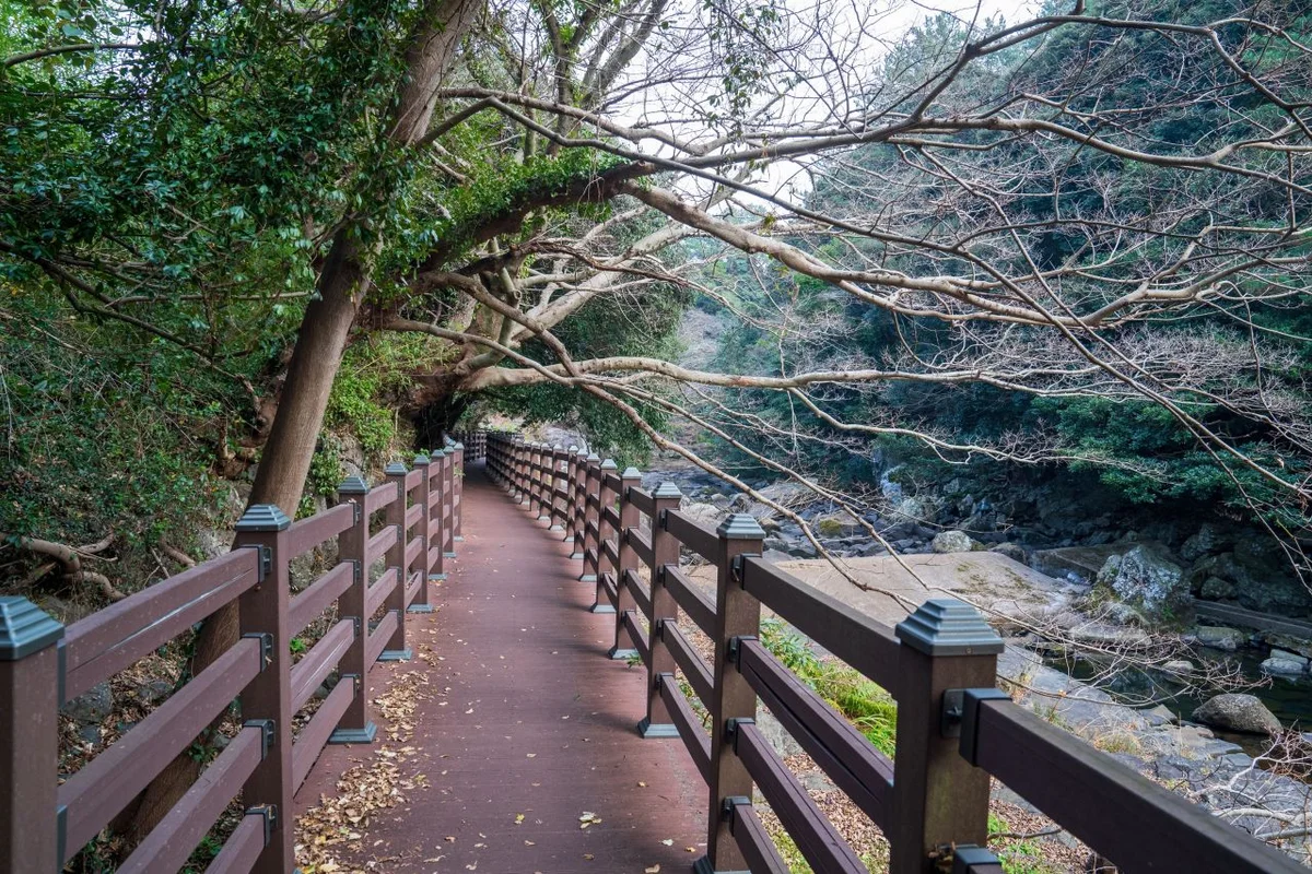 파랑개비권역활성화센터 - 안덕 여행