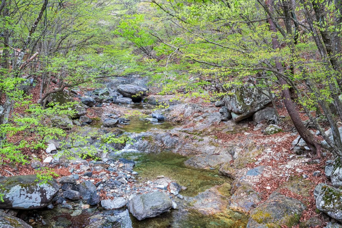 뷰 제주하늘 - 성산 여행
