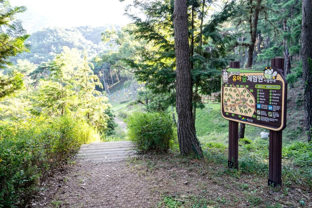 동백 유아 동반 (출처 : 한국관광공사)