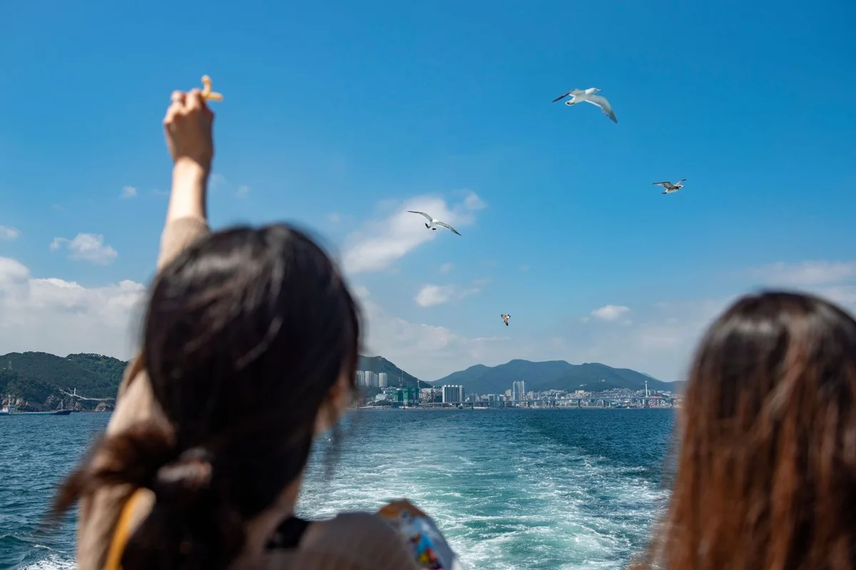 자갈치 밤에 갈만한곳 에디터스 픽 - 부산 여행 여행