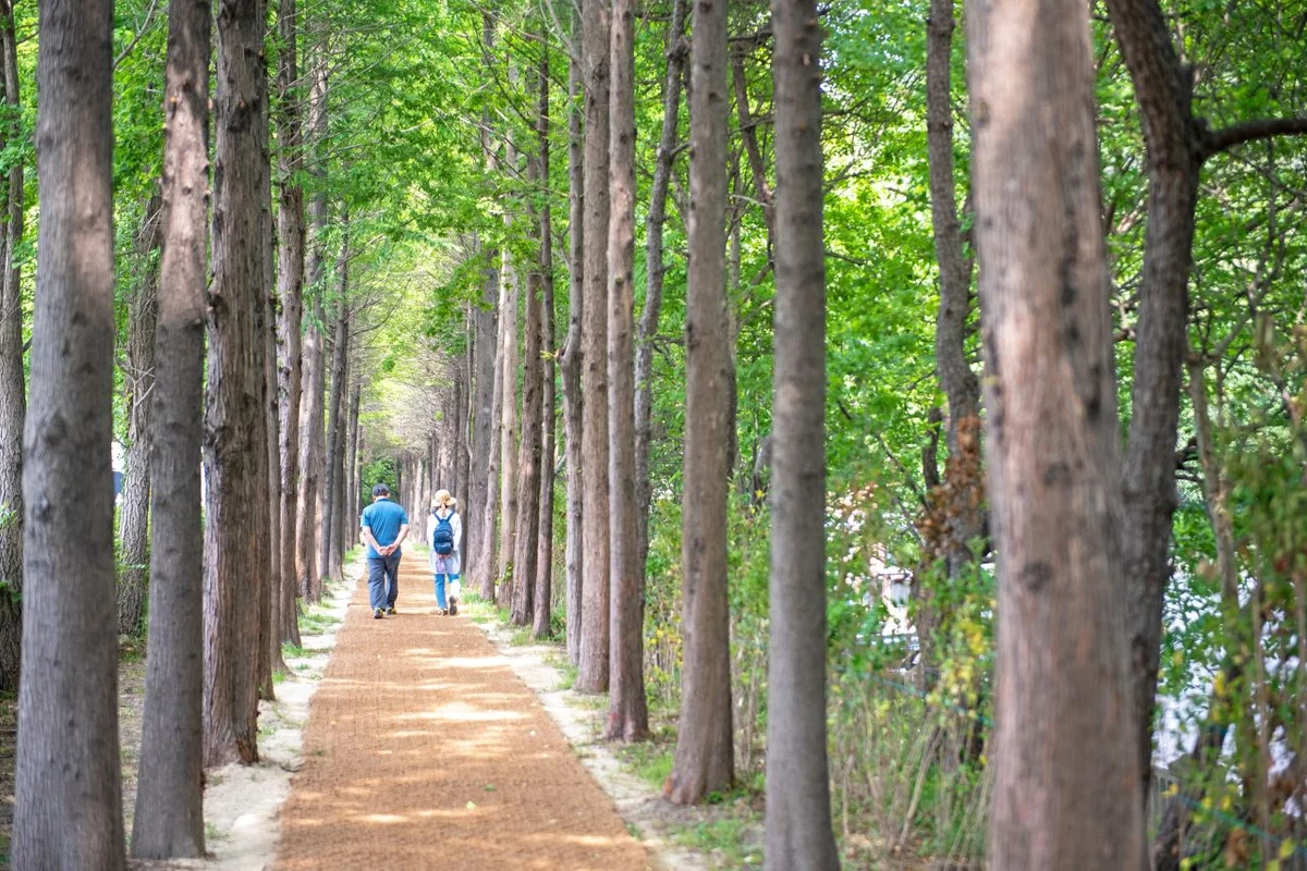 해운대 달맞이길 - 해운대구 여행