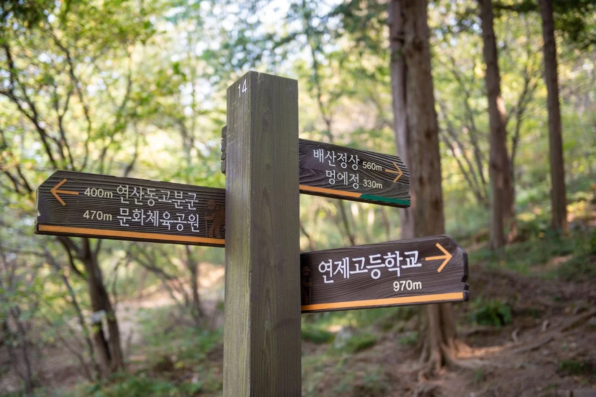 연산동고분군 - 연제구 여행