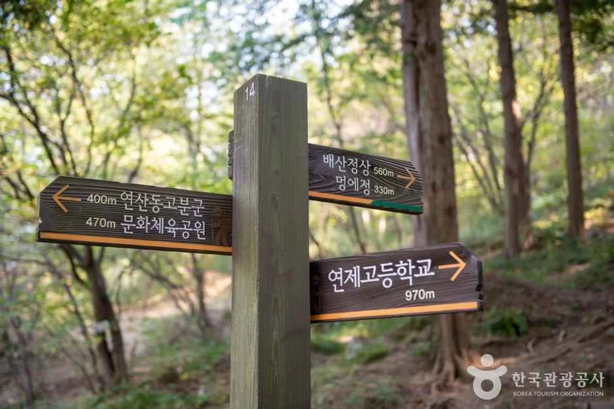 배산 - 연제구 여행