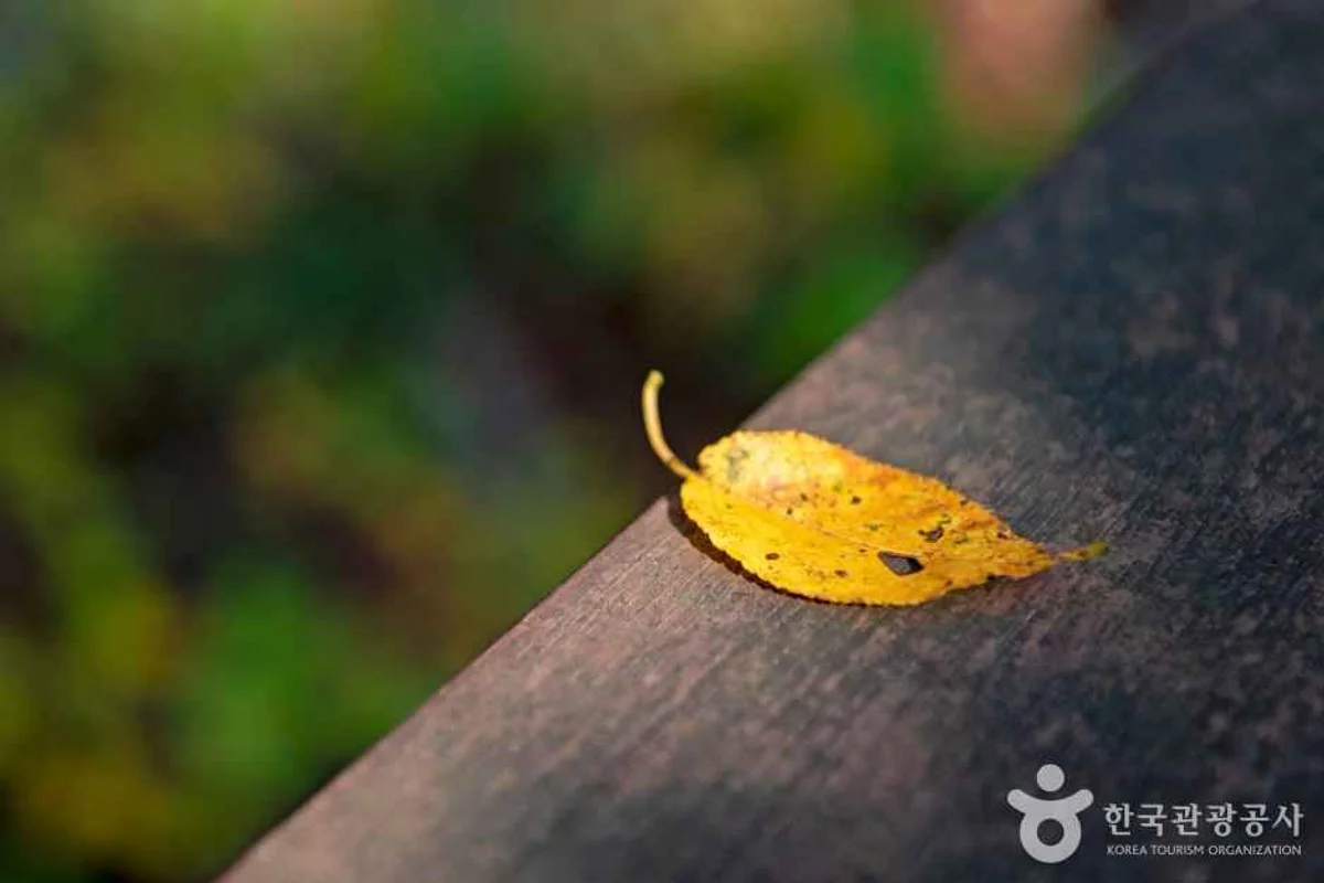 연산동고분군 - 연제구 여행