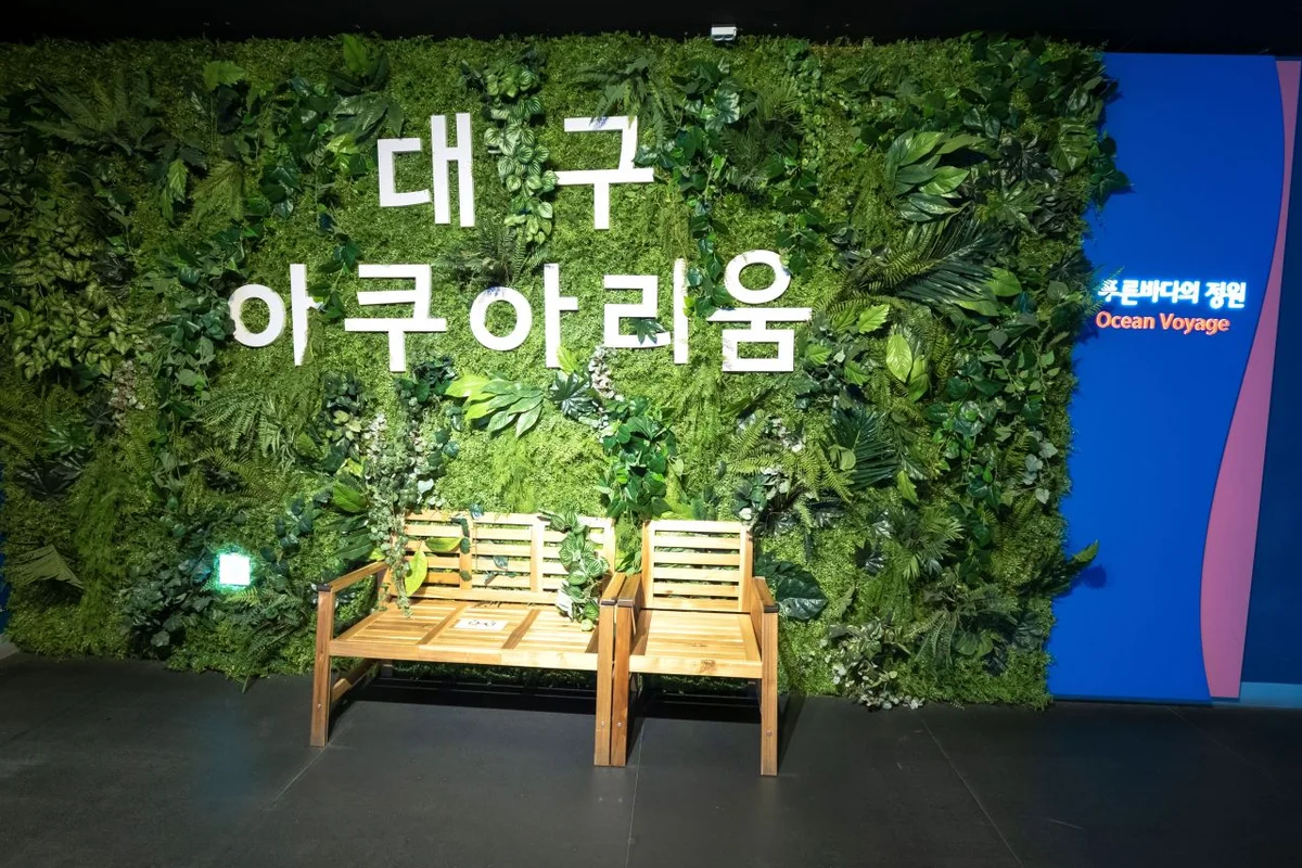 대구아쿠아리움 - 대구 크리스마스 데이트 여행
