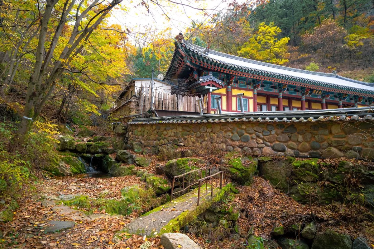 안일사 - 대구여행 여행