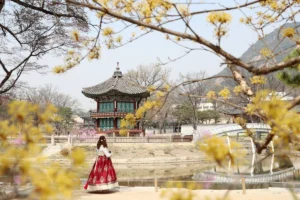 수유 호텔 추천 (출처 : 한국관광공사)