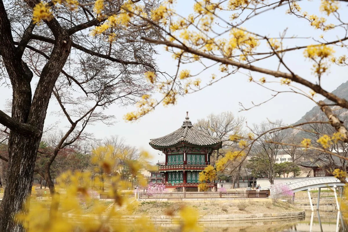 강북구 스마트팜 센터 - 수유 호텔 여행