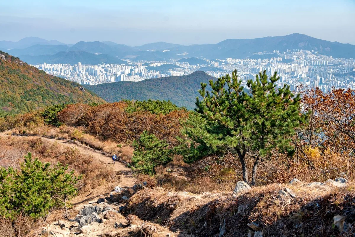 부산진 테마파크 (출처 : 한국관광공사)
