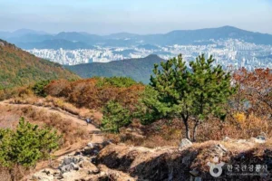 부산진구 1박2일 (출처 : 한국관광공사)