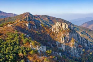 금정구 캠핑장 (출처 : 한국관광공사)