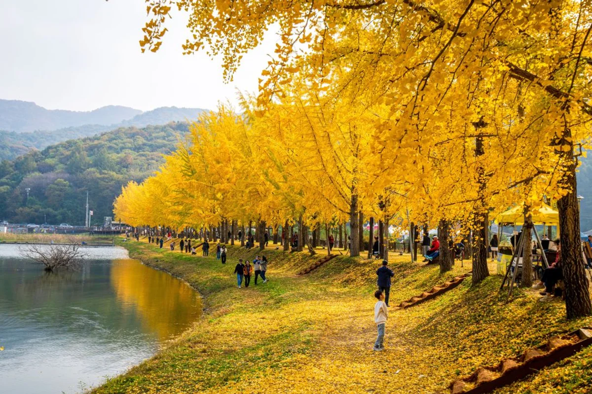 문광저수지 - 괴산군 여행