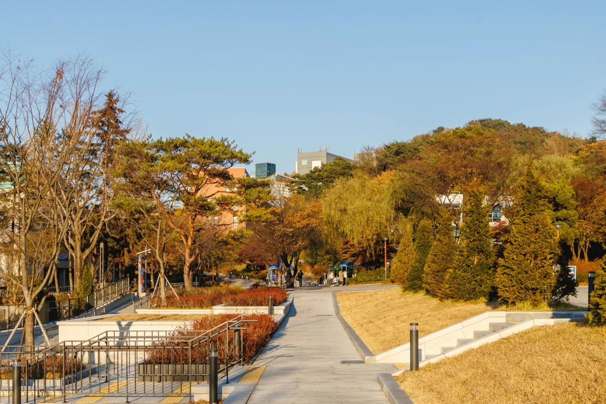 서울대학교 박물관 - 관악구 여행