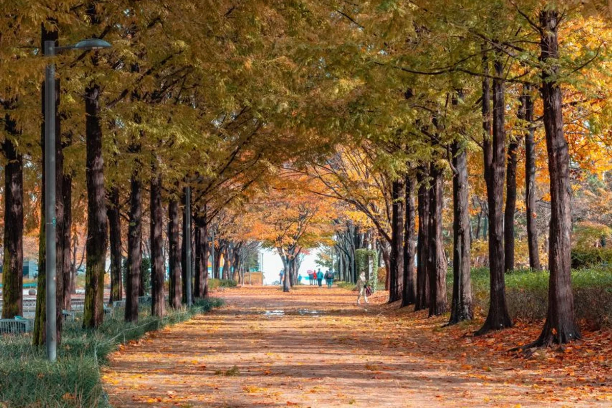 서울숲 - 서울데이트 여행