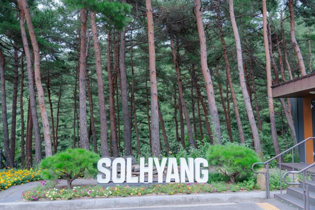8월 세종 야간 관광 (출처 : 한국관광공사)