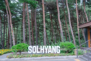 8월 세종 야간 관광 (출처 : 한국관광공사)