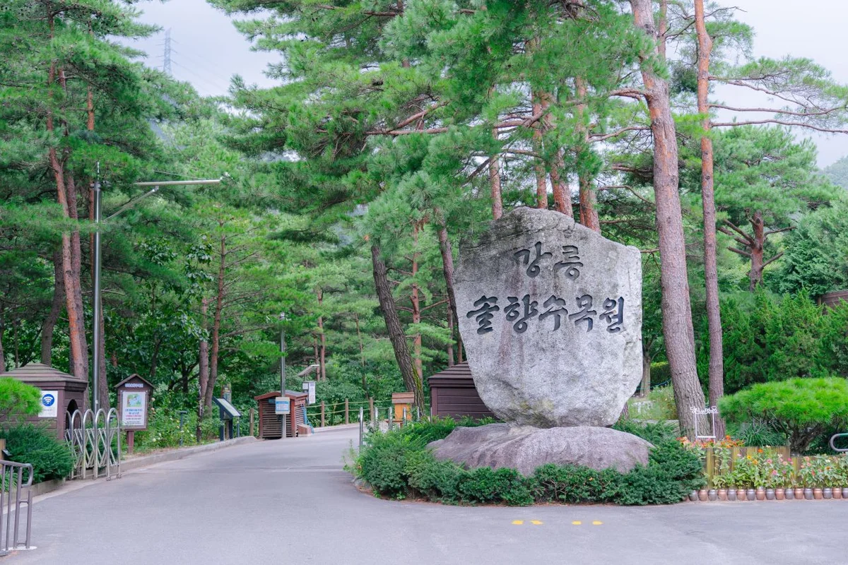 금강보행교 (이응다리) - 세종여행 여행