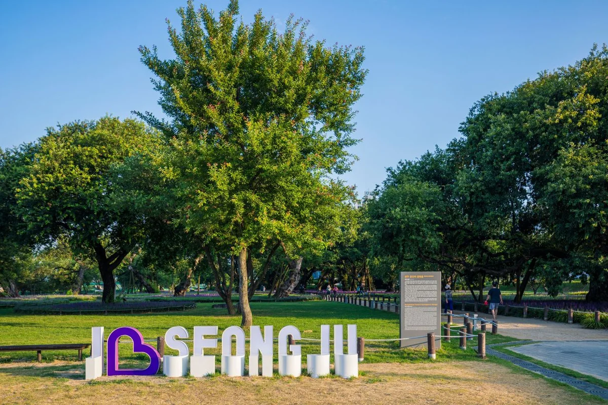 성밖숲 - 성주군 여행