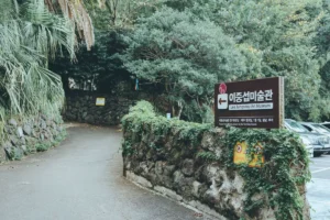 서귀포시 전시 (출처 : 한국관광공사)